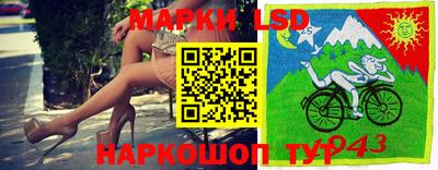 гашик Славгород