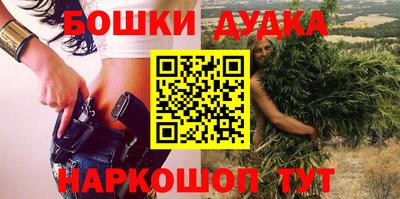 гашик Славгород