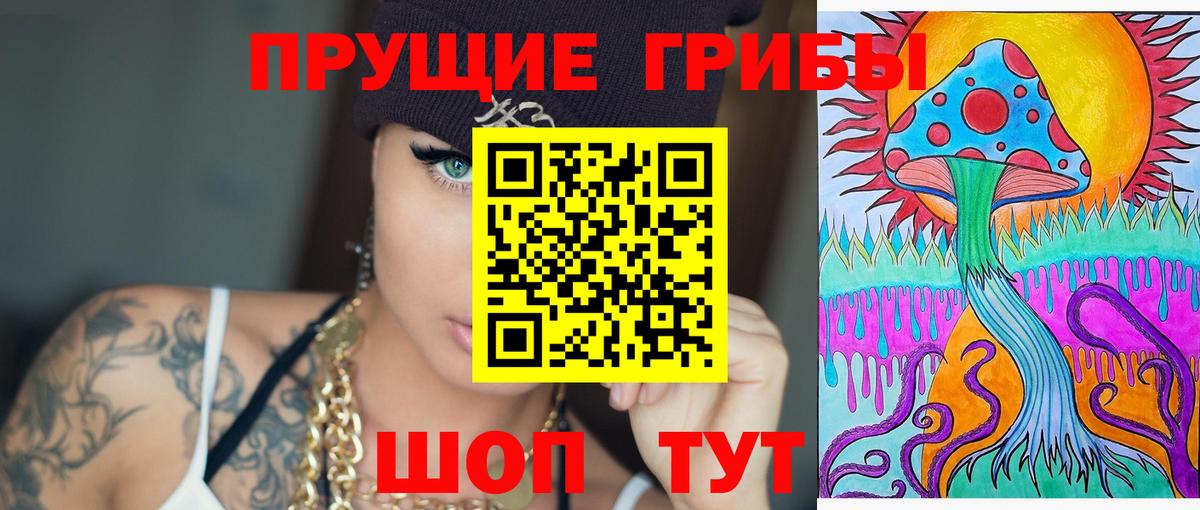 Галлюциногенные грибы GOLDEN TEACHER  Галлюциногенные грибы Psilocybine cubensis  Северск  Вход с VPN 